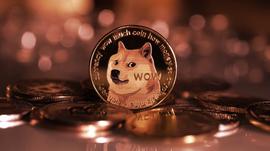 Dogecoin抛售了埃隆·马斯克的Twitter股票，下跌了9%_DOG:WSDOGE