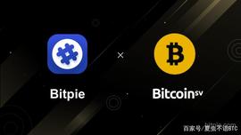 比特派BSV使用教程_BSV:BITP