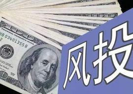 金色观察｜最成功风投公司的十个投资智慧_BIT:Multicoin