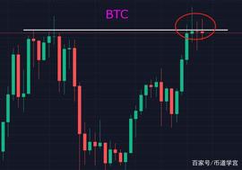 SHIB和元宇宙是回光返照还是重新踏上飞机？_MAN:btc钱包地址怎么弄