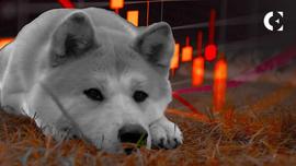为什么 2023 年可能会改变柴犬（SHIB）的游戏规则_ARI:JSHIBA