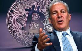 「黄金VS 比特币」世纪大辩论 Peter Schiff 不吵赢、不罢休_PET:ETE