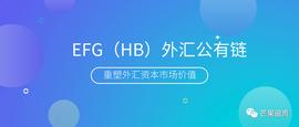 EFG：外汇资本市场革新者，开启外汇价值新纪元_RAD:区块链