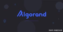 Algo币借荷兰拍，上线暴涨60倍，接下来呢？_LGO:瑞波币