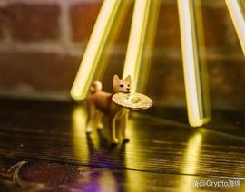 2023 年 9 月最值得关注的 2 种加密货币_加密货币:SHIBA