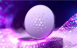 「崛起社区」鲸鱼攻击这种有望奖励其投资者的山寨币！_cardano:cardano币五个阶段