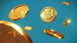 Shiba Inu 加入比特币、以太坊成为 2022 年最受关注的加密货币_加密货币:加密货币行情怎么样