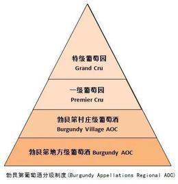 勃艮第依瑟索最贵葡萄酒TOP20，康帝：“还有比我贵的酒？”_CHA:Chain