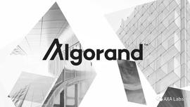 背景深厚的公链王者Algorand（Algo）跌幅已达十倍，后市如何表现_RAN:algo币最新官方消息