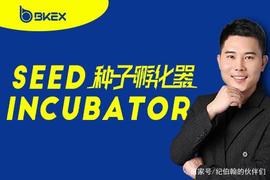 币客BKEX今晚上线Seed Incubator首个项目DataOK（DTO）!_ATO:plato币怎么样