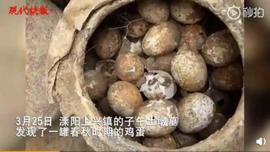 春秋时期的鸡蛋出土，它是如何保存2500年的？_COM:New Community Luna