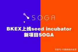 币客Seed Incubator新项目SOGA即将上线，看它打破DTO暴涨记录_KEX:SOGE币