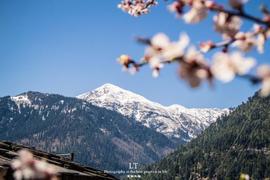 印度的旅游胜地默纳利，人牛共居温泉免费，男人还穿白色羊毛短裙_ATA:TATA