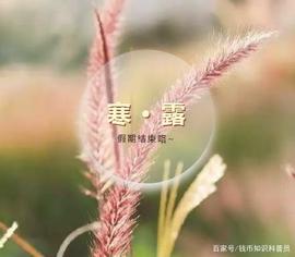「传统节气」今天是寒露，看纪念币上的秋意_: