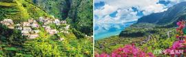 什么是马德拉（Madeira），为什么有“不死之酒”的称号_比特币:比特币市值排行