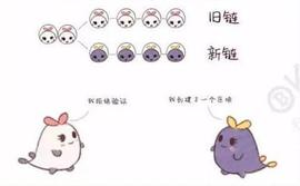 「牛牛说币」聊聊比特币的那些叔伯兄弟——分叉币_区块链:TCO