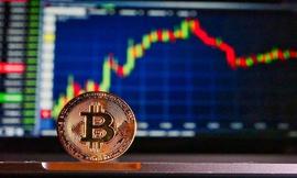 约42%的比特币近2年没有任何链上交易，或成为币价上涨重要推动力_比特币:ECH