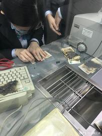 担心沾染病，女子将51张人民币放微波炉加热，结果全焦了_AVO:UPO价格