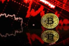 比特币暴跌，信仰崩塌还是疯狂抄底？｜一周问答热议_LUS:PLU
