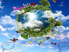地球生物界发现的新物种，你认识几个？每一个都造型独特_: