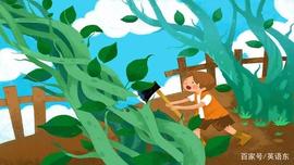 杰克与魔豆 Jack and the Beanstalk - Bedtime Story_AND:ACK