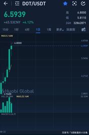 警惕加密货币暴涨下的局：波卡生态OM项目被爆局！_EFI:DOT