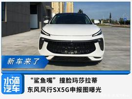 “鲨鱼嘴”撞脸玛莎拉蒂，东风风行SX5G申报图曝光_ORT:ING