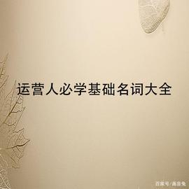 运营人必学基础名词大全（共计89个）_ONC:ONS