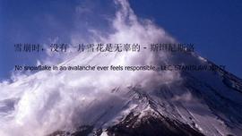 你可以炒比特币，但一定要远离比特币合约！_SNOW:SatelStar