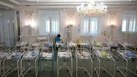 揭秘美国代孕地图：聘用会中文员工 56万元人民币起步_MIL:One Hundred Million Inu