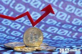 持续疯狂！一枚比特币价格超一公斤黄金_比特币:马斯克