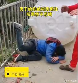 广西一男子农村偷狗被抓，村民将他拴上铁链踢打：你们遛狗我溜人_ENT:ING