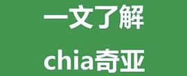 什么是chia？OKEx副总裁徐坤深度解读热门项目Chia_CHI:CHI币