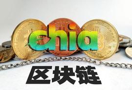 chia币爆火，硬盘价格飙升，火遍币圈的Chia到底是什么？_加密货币:GCT