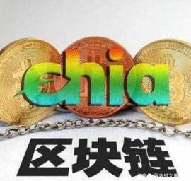绿色比特币奇亚Chia的初期币价会如何？_DOG:DOGE