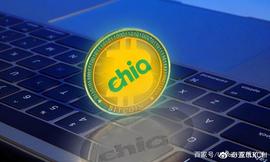 浅谈Chia（奇亚）挖矿的机遇与风险_COIN:CHI