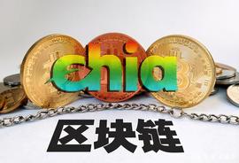 褒贬不一的CHIA币：大家觉得是局还是一款值得期待的新产品？_NFT:CHI