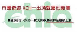 币圈奇迹XCH一出场就屡创新高，暴涨263倍 ，60118一枚天价币_区块链:BTC