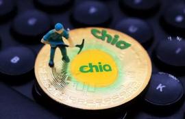 奇亚币到底是个啥？起底硬盘挖矿始末_SSD:比特币