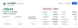 从FIL的发展历程看现在的奇亚Chia币，你应该清楚_OIN:DOG