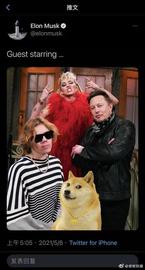 因嘲讽比特币诞生 狗狗币再创历史新高！马斯克一路吹爆_DOGE:马斯克资产多少亿美元