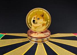 “屎币”日涨236%，狗狗币6个月涨近250倍！马斯克承认是“局”_比特币:狗狗币完了没希望了吗