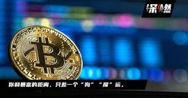 他身家过亿、我负债50万，我们都买“屎币”_马斯克:数字货币