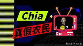马斯克喊单Chia？现在是入场挖矿的时机吗？_ION:ECON