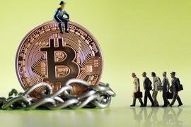 9、比特币受到追捧的原因有哪些？（ABCD）_TERN:Callisto Network
