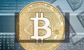 疯狂的“币圈”！3天赚了200万，第4天就傻了…_XCH:狗狗币