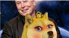 狗狗币有老婆了：Wifedoge七天涨9倍！马斯克：时间才是终极货币_WIFEDOGE:L-Dimension