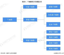 预见2022：《2022年中国干细胞医疗产业全景图谱》(附产业链现状、市场竞争格局和发展前景等)_SEA:ARCH