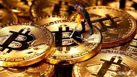 Bitcoin再创新高 美国75%受访者辞职炒币_加密货币:TokenBook