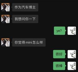16年前的MINI，竟然还能卖30多万人民币？_META:MET